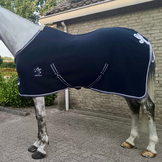 Horse wearing a dark blue rug with white logo in front of a brick building.