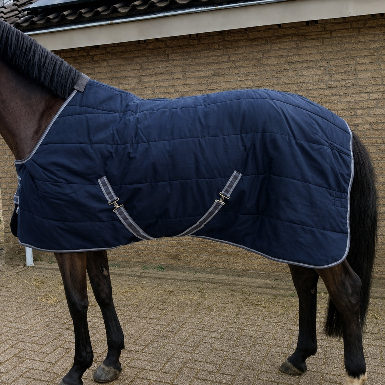 Stable Horse Blanket - POD