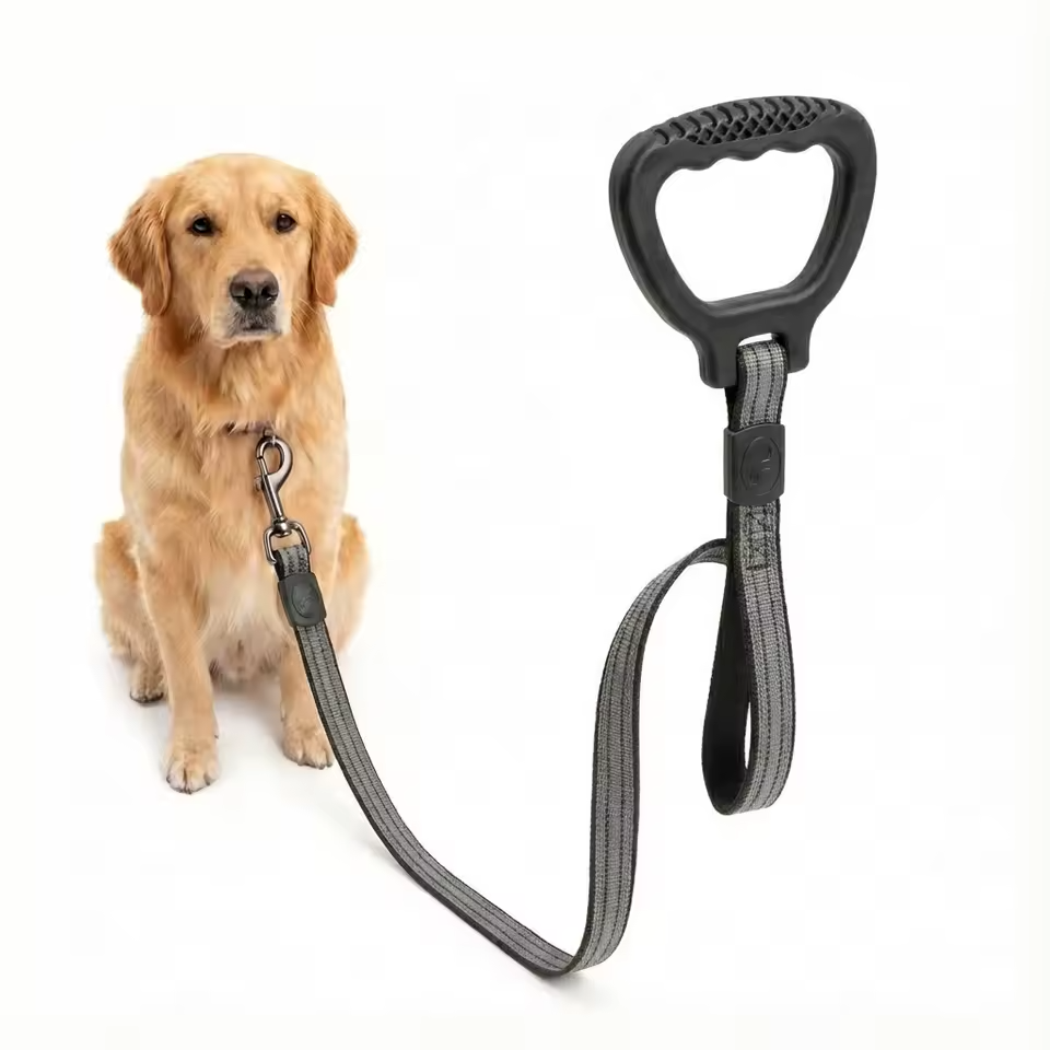 Reflektierende Hundeleine mit rutschfestem Griff, starke Nylon-Trainingsleine.