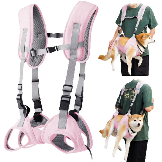 Verstelbare hondenrugzak, draagtas voor katten, ademend, voor huisdieren van 4–7 kg