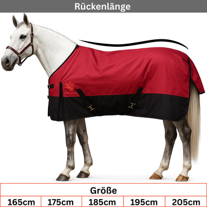 Horse wearing a red and black rug with measurements displayed below.