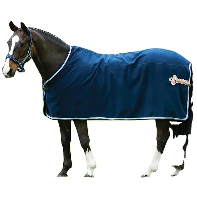 Horse wearing a blue blanket with white trim on a white background
