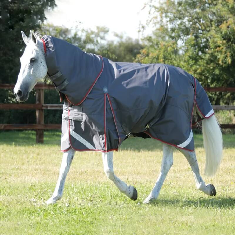 Horse wearing a blue protective blanket in a grassy field with trees in the background