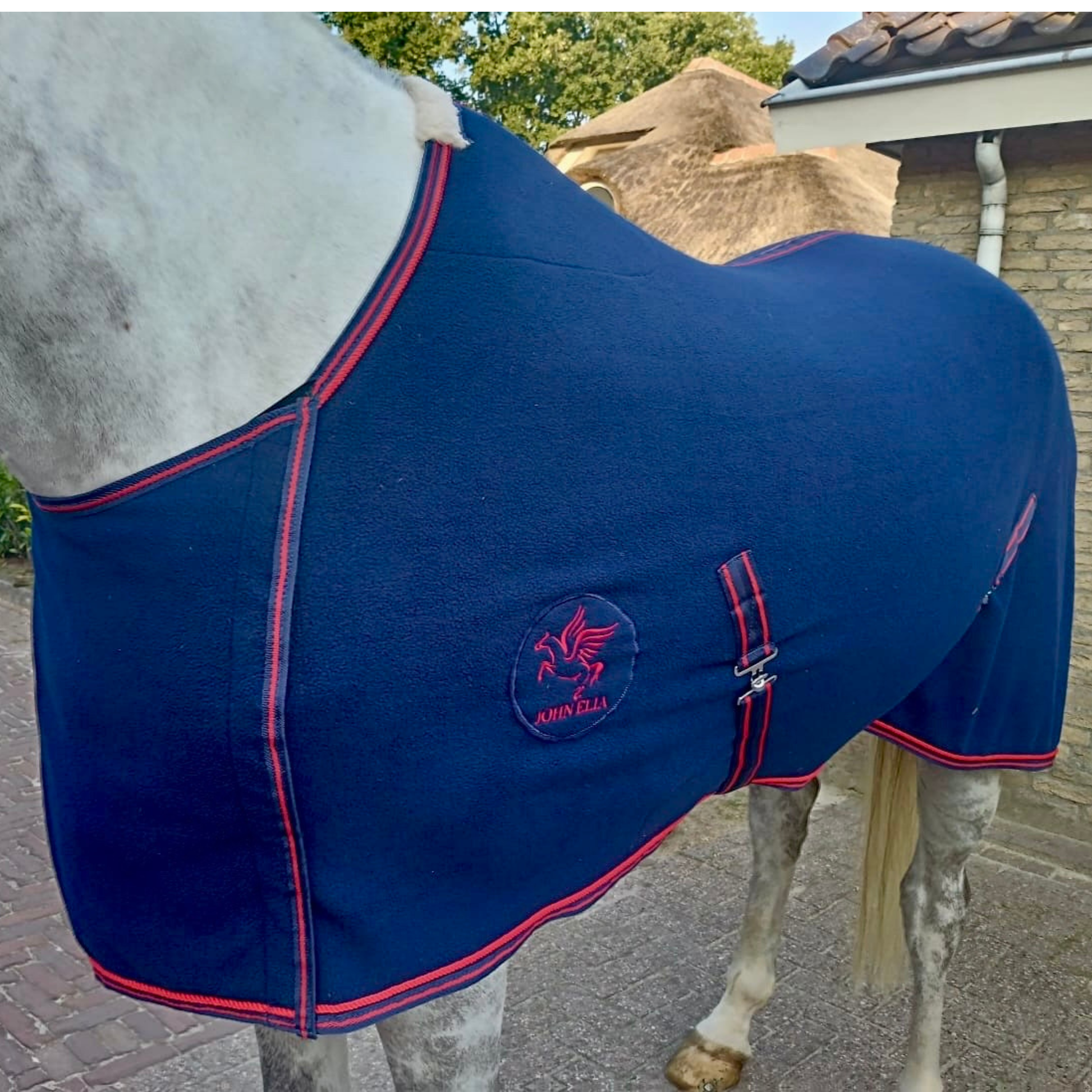 Horse wearing a blue rug with a visible brand logo, standing on a paved area.