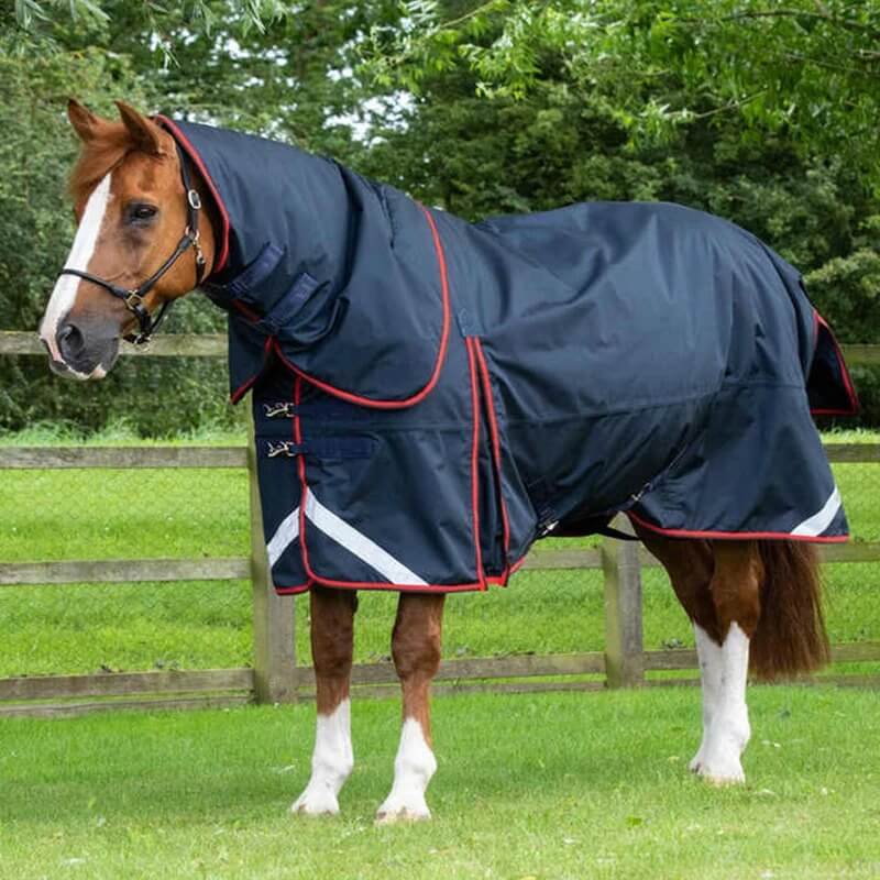 Horse wearing a navy blue blanket with red trim in an outdoor setting