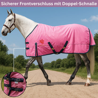 Horse wearing a pink blanket with a double buckle on a dirt road with trees in the background.